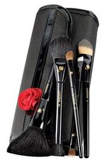 New! LIMITED EDITION BRUSH SET Pro Secrets