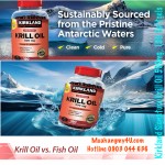 Kirkland Signature Krill Oil 500mg, 180 Softgels