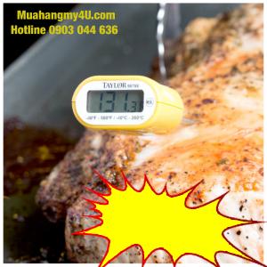 Taylor 9878E 5" Waterproof Digital Pocket Probe Thermometer with Backlight - Dishwasher Safe
